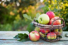 Image result for Fall Apple Backgrounds