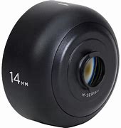 Image result for moments fish lenses