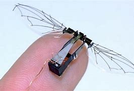 Image result for World's Smallest Robot