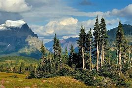 Image result for United States Travel Photo Nature