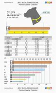 Image result for Dog Collar Sizes in Inches