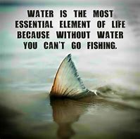 Image result for Funny Fishing Quotes