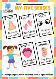 Image result for 5 Senses Worksheet for Kids