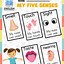 Image result for 5 Senses Worksheet for Kids