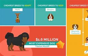 Image result for RCA Victor Dog Breed