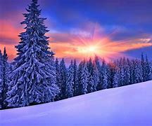 Image result for Snow Background Reference
