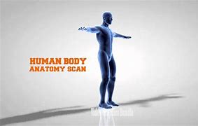 Image result for Roatating Body Scan