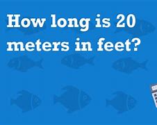 Image result for How Long Is 20 Meters in FT