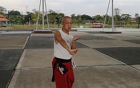 Image result for Tiger Claw Kung Fu