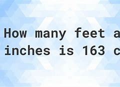 Image result for 163 Cm to Feet