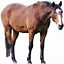 Image result for Farm Animals Clip Art Horse