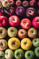 Image result for Colors of Apple's