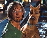 Image result for Funny Shaggy Memes