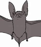 Image result for Hanging Fruit Bat Clip Art