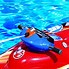 Image result for Motorized Water Toys for Adults