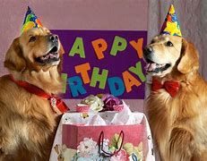 Image result for Happy Birthday Tomorrow Dog