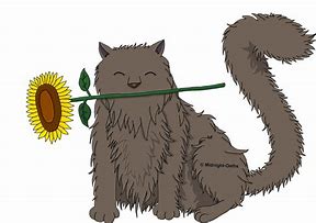 Image result for Hetalia Russia Cat