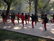Image result for Tai Chi 24 Form Step by Step