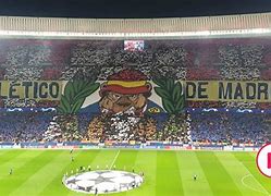 Image result for alo�tifo