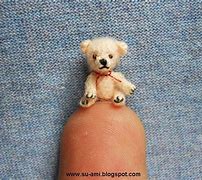 Image result for World's Smallest Teddy Bear