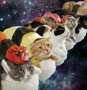 Image result for Amazed Cat Meme