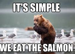 Image result for Salmon Meme