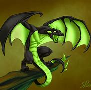 Image result for Wyvern Dragon Drawing