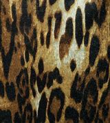 Image result for Cute Animal Print Backgrounds