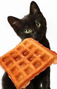 Image result for How Do You Draw a Waffle Cat