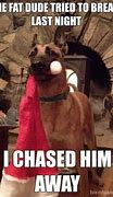Image result for Merry Christmas Funny Dog Memes