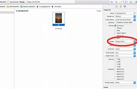 Image result for iPhone Screen Size Comparison 2019