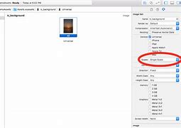 Image result for Apple iPhone Screen Sizes