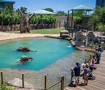 Image result for zoos animals habitat designer
