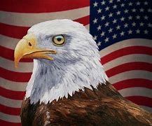 Image result for Bald Eagle with American Flag Drawing