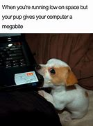 Image result for Sorry Puppy Meme