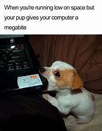 Image result for Dog Funny Puppy Memes