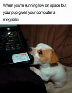 Image result for Old Dog Looking at Phone Meme