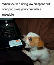 Image result for Pet Dog Meme