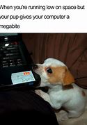 Image result for Dogs with iPhone Memes