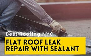 Image result for DIY Flat Roof Leak Repair