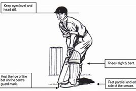 Image result for Willow Cricket Bat Face