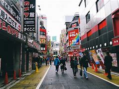 Image result for Best Things to Do in Tokyo Japan