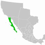 Image result for Baja Peninsula Mexico