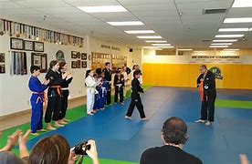 Image result for Orange Belt Jiu Jitsu