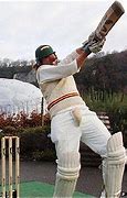 Image result for Wearing a Cricket Box
