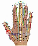 Image result for Korean Hand Acupuncture Chart