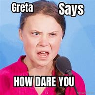 Image result for Greta Blimp Meme