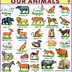 Image result for How Many Animals in the Picture