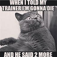 Image result for Funny Training Quotes