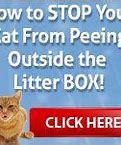 Image result for Cat Owners Are Healthier Meme
